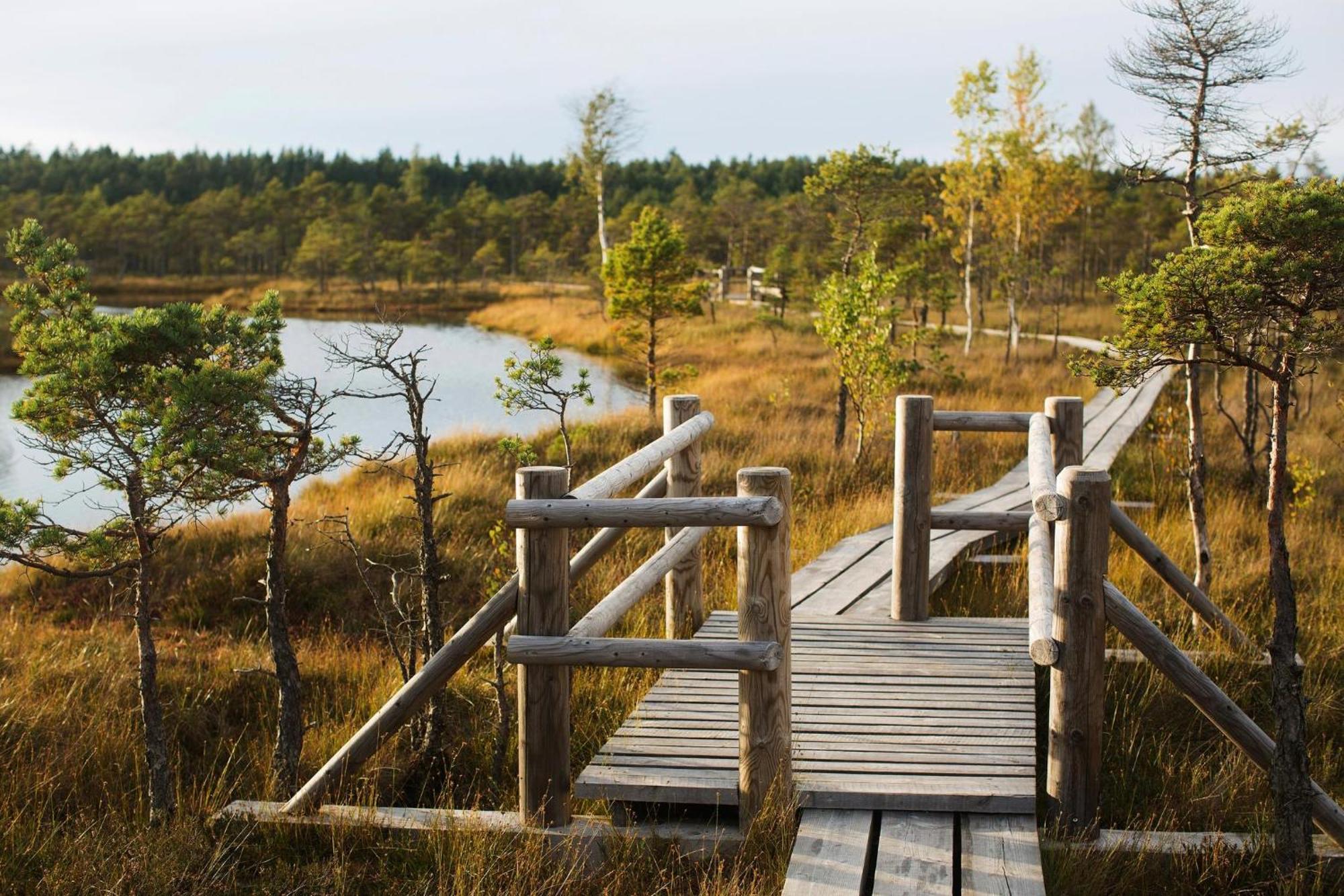 Apartment Near Baltic Sea 2